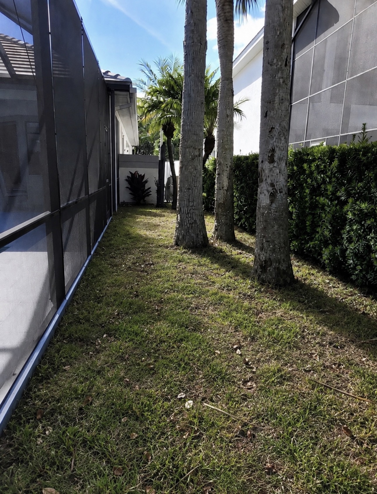 Underused side yard before landscape redesign